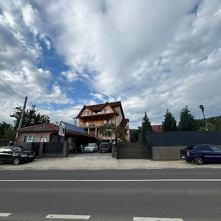 Pensiunea Patricia Oesti-Paminteni エクステリア 写真
